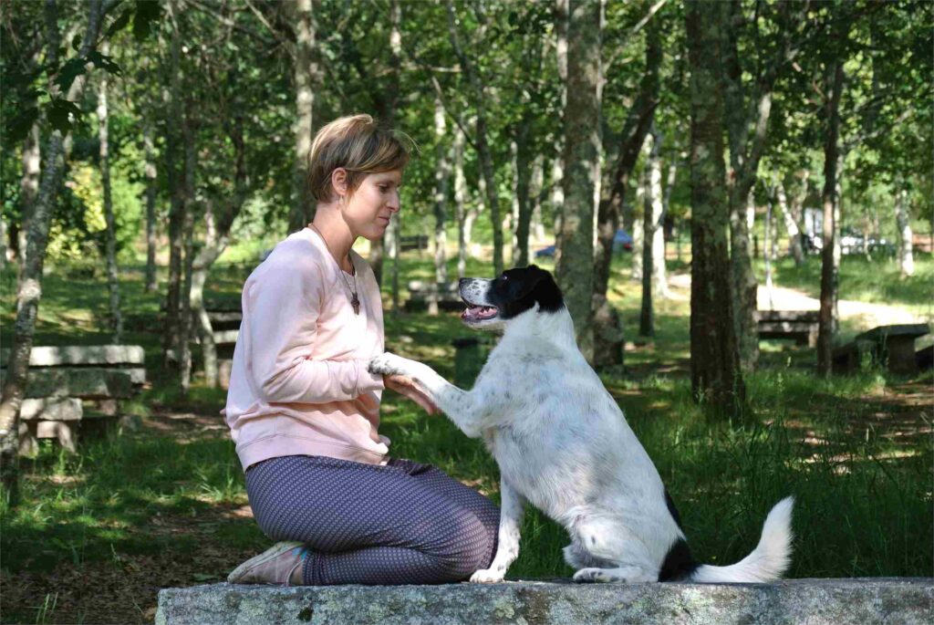 Educadora canina en sesión individual con un perro en el bosque