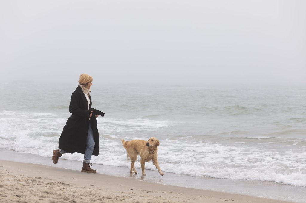 Playas para perros en Vigo y la ría: dónde, cuándo y con qué perro