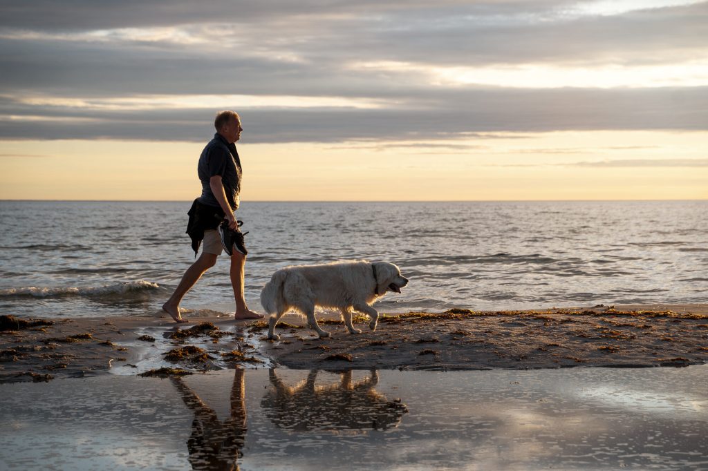 Hombre paseando con su perro por una playa vacía al atardecer