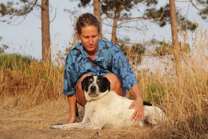 Foto de ubicación de Truco Canino - Educación y Adiestramiento en Vigo